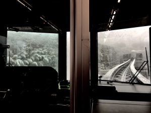 多摩都市モノレールからの雪景色